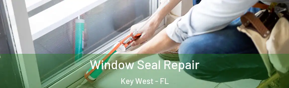  Window Seal Repair Key West - FL